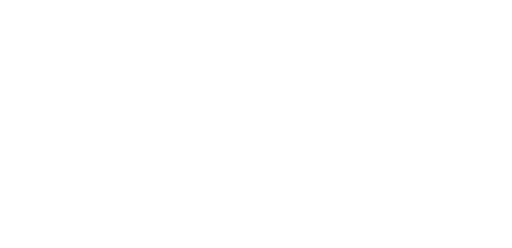 Profesional